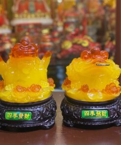 Ông Cóc Và Tỳ Hưu Hoa Đế Gỗ Vàng Mật Ong